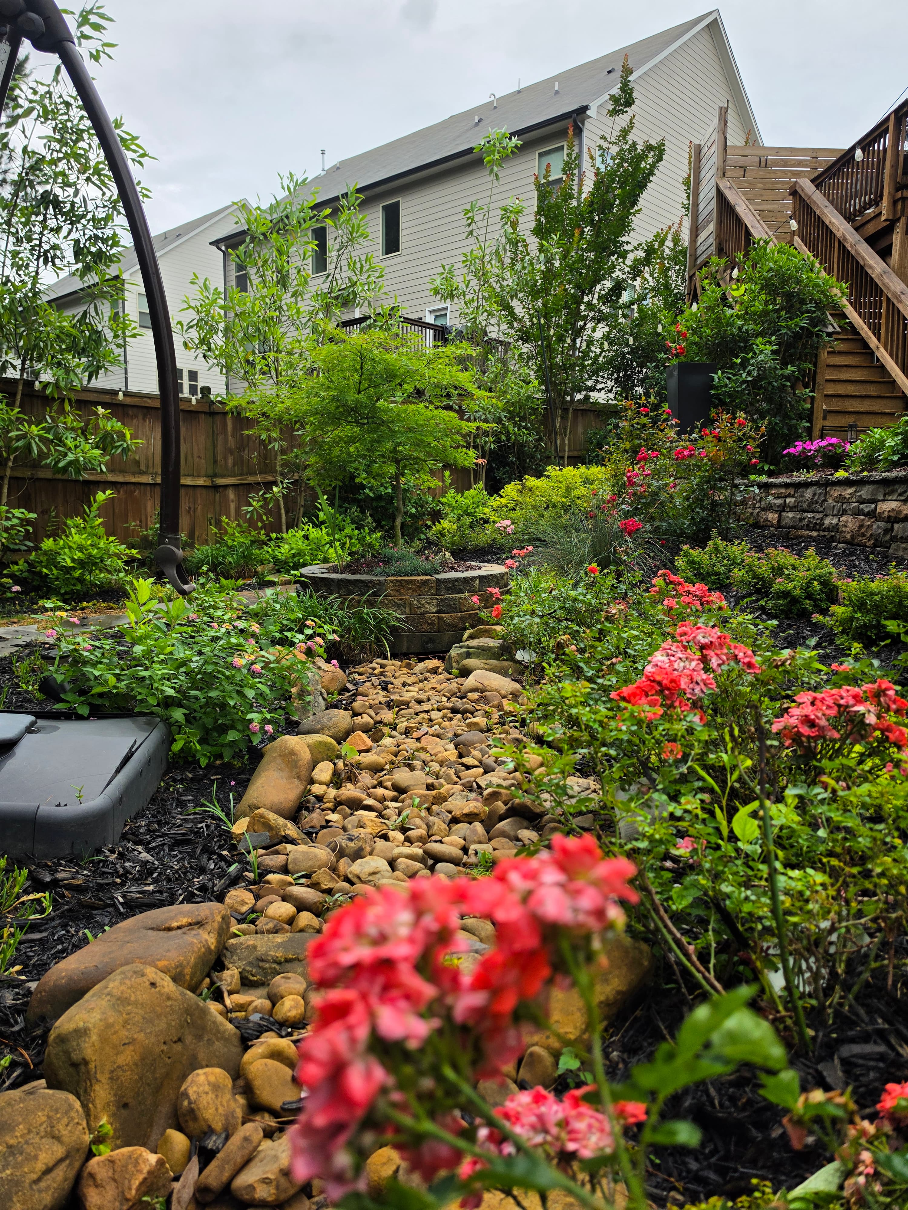 Rocky dry creek bed winding through a lush backyard garden with vibrant pink flowers.