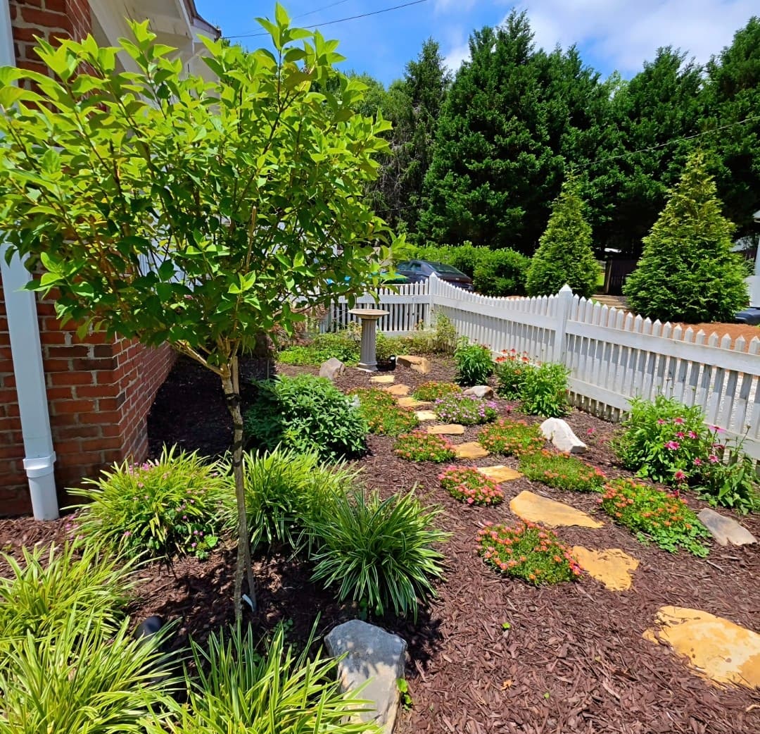 Garden path with stepping stones, small tree, and flowers next to a white picket fence.