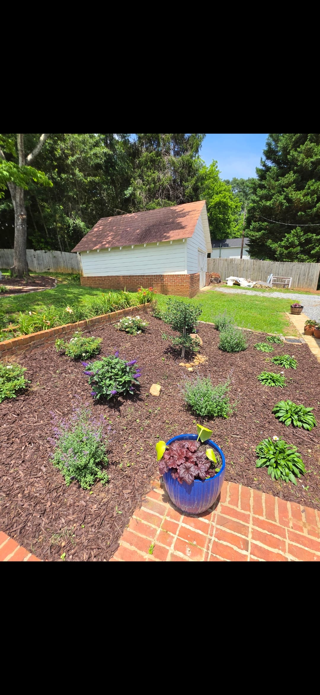Blue pot on brick path overlooking a mulched garden and a white backyard shed.
