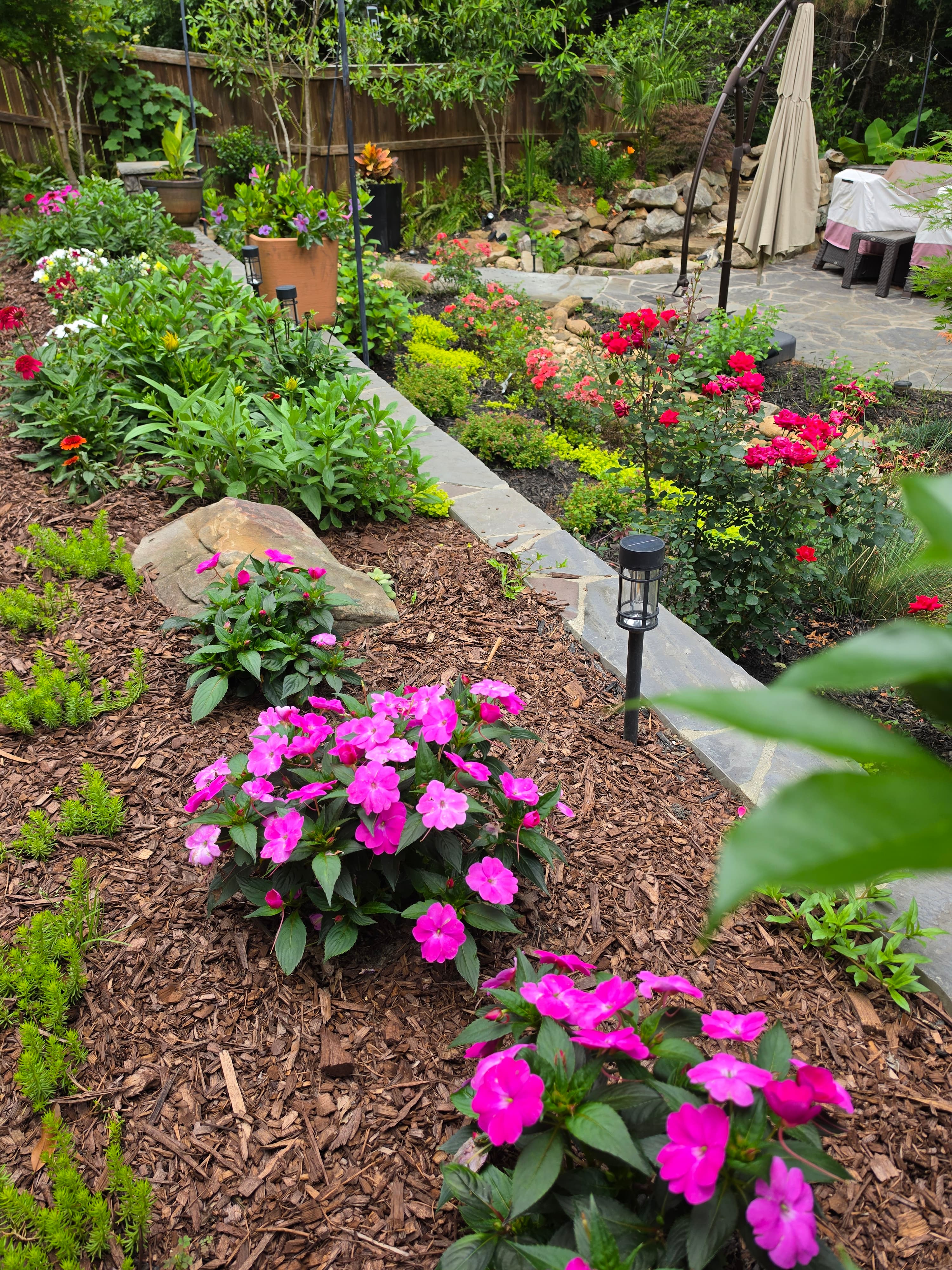 Lush garden bed with pink impatiens and red roses bordering a stone patio path.