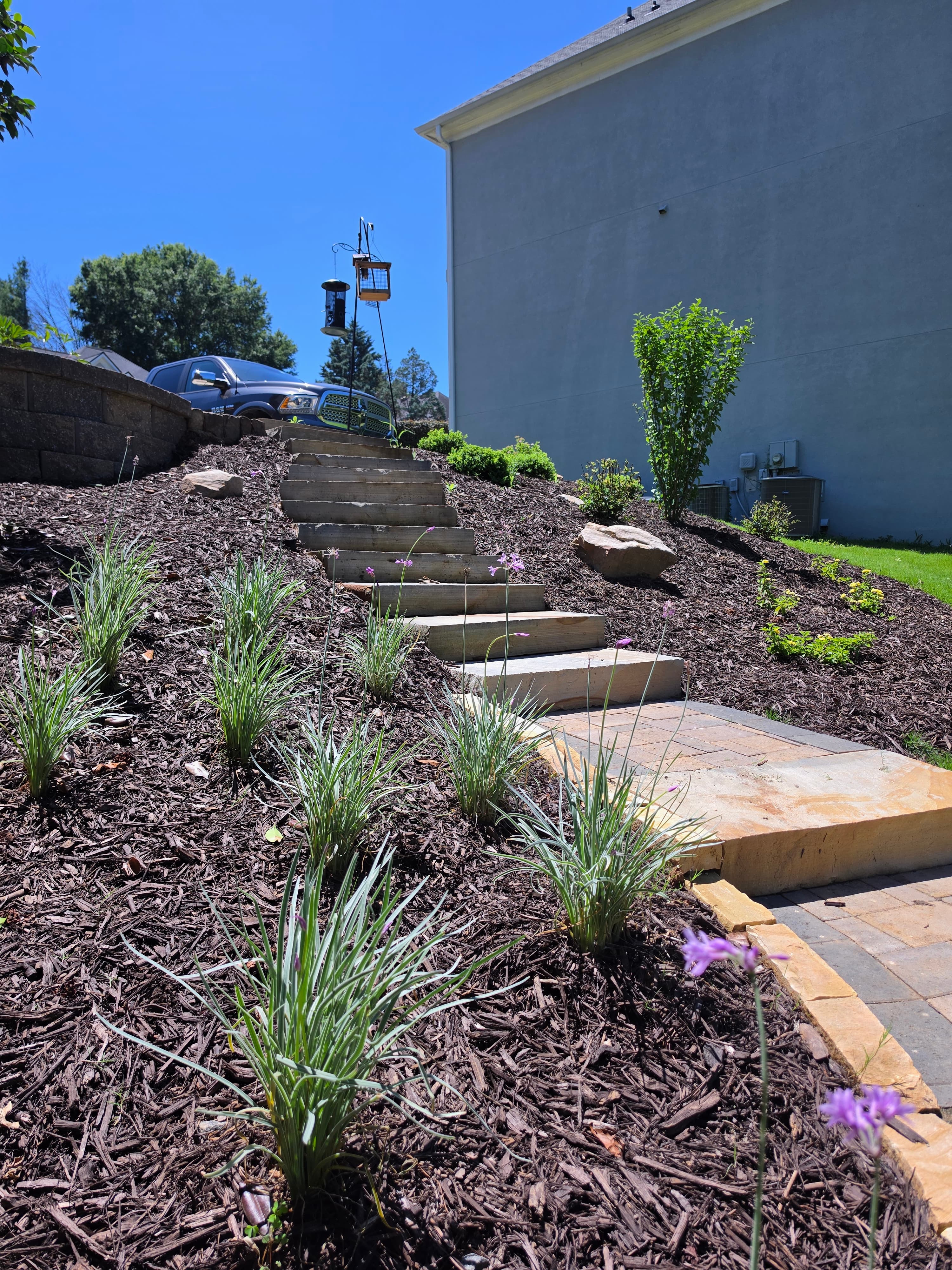 Stone stairs lead up a mulched garden slope with purple flowers under a blue sky.