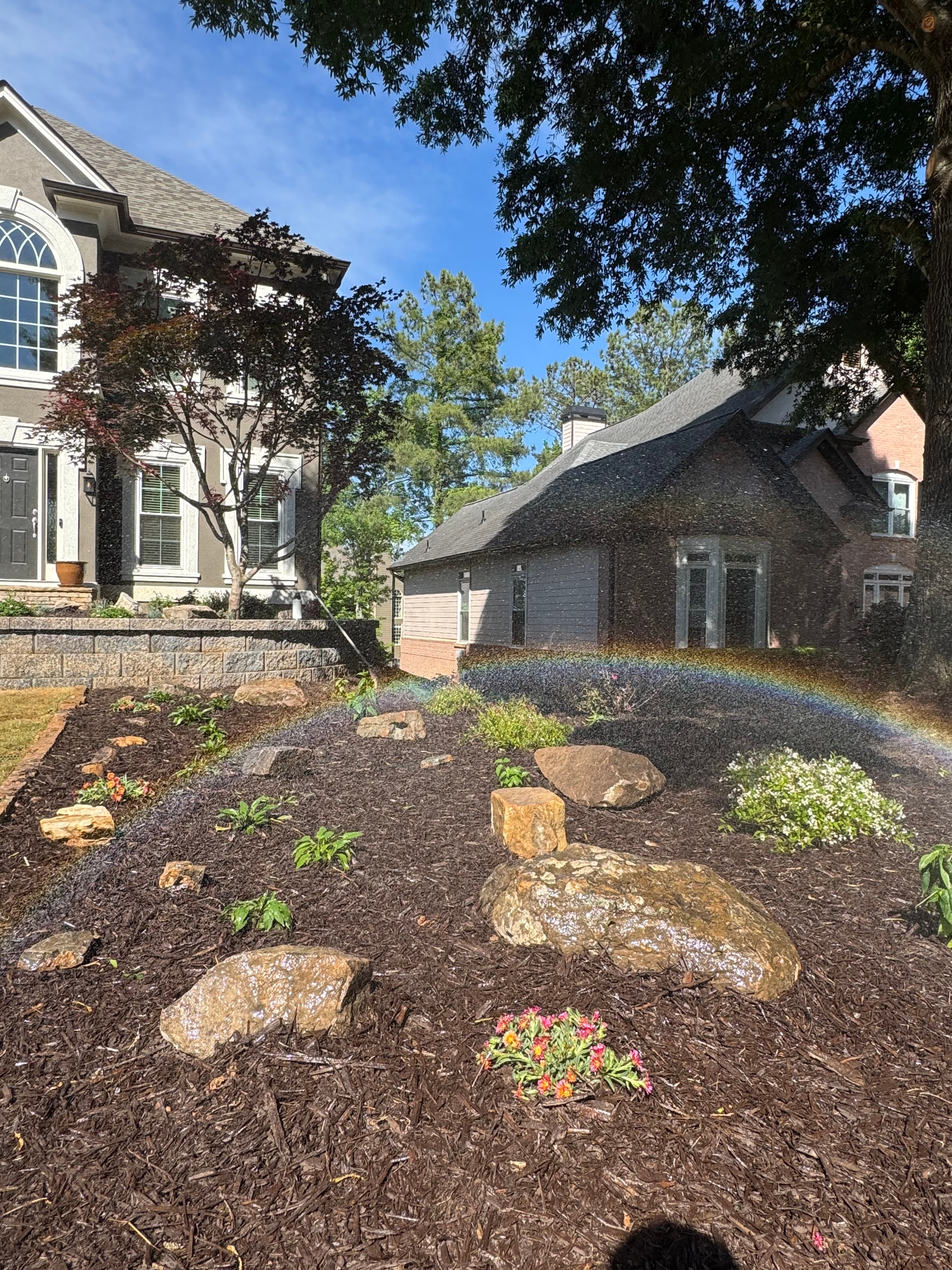 A rainbow shines through mist over a mulched garden with rocks and a house.
