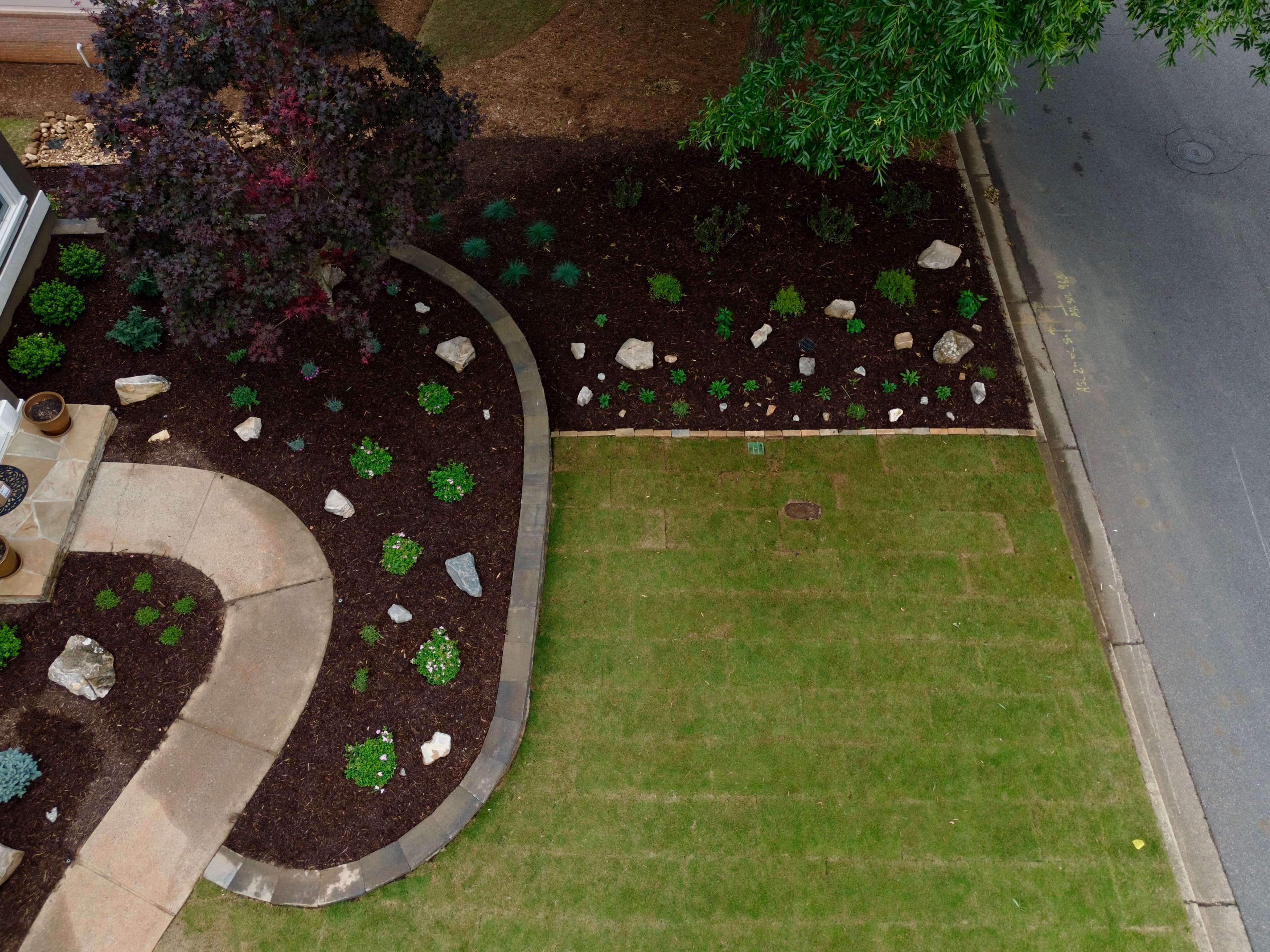 Aerial view of a landscaped yard with curved walkway, mulch beds, lawn, and Japanese maple.