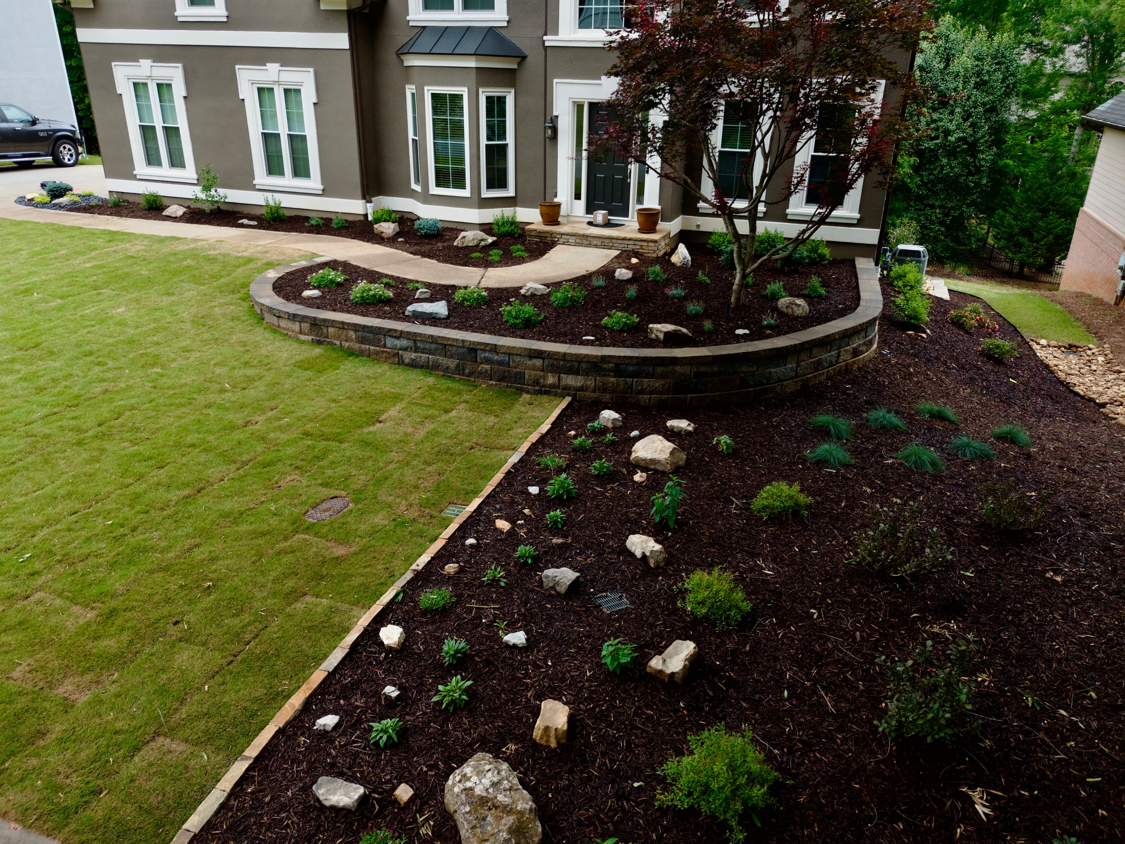 Landscaped front yard with a curved stone wall, dark mulch, and a red maple tree.